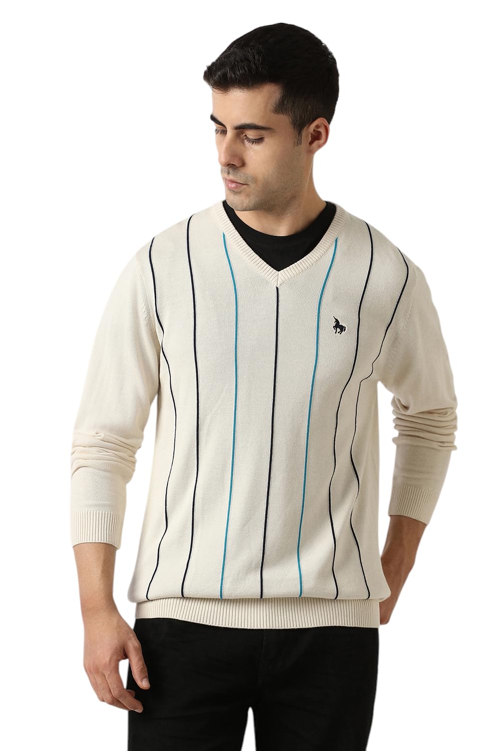 van heusen Men's Cotton Blend Casual Sweater-picture-36