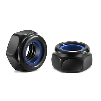 M8 x 1.25mm Nylon Insert Hex Lock Nuts 100Pcs 304 Stainless Steel Locknuts, Hex Drive, Black Oxide by SG TZH