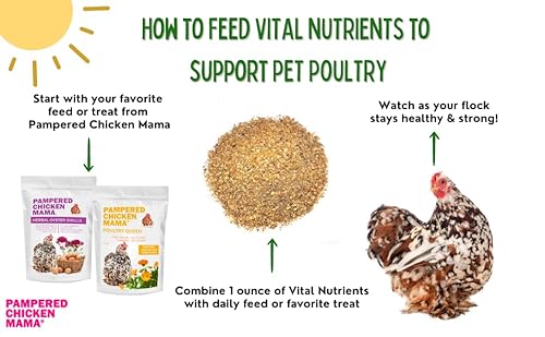 Pampered Chicken Mama SAMPLE_SKU_15722 Vital Nutrients: Chicken Vitamins For Feed & Molting Supplement thumb #2