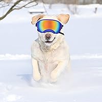 Vista 5 de Gafas de sol grandes para perros, gafas para mascotas, con correa ajustable, gafas para perros medianos y grandes, para natación, patinaje, a prueba