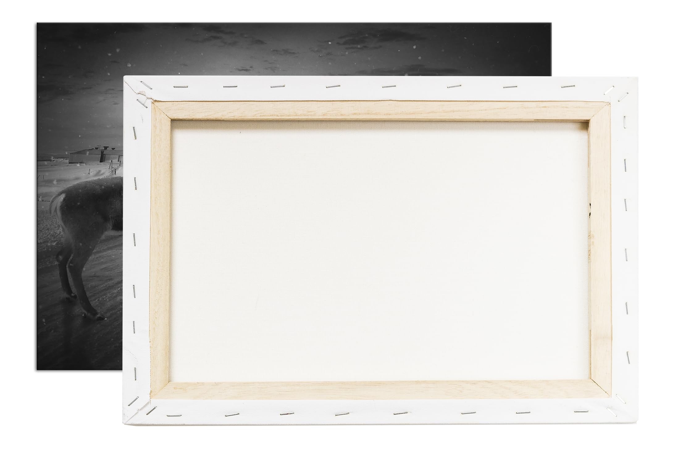 deyoli Viaje de invierno con un reno. Formato: 90 x 60 cm. Efecto: negro/blanco como lienzo, diseño enmarcado sobre marco de madera auténtica, impresión digital de alta calidad con marco