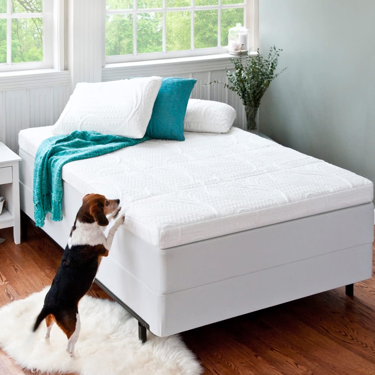 How Do I Get Dog Pee Out Of My Memory Foam Mattress