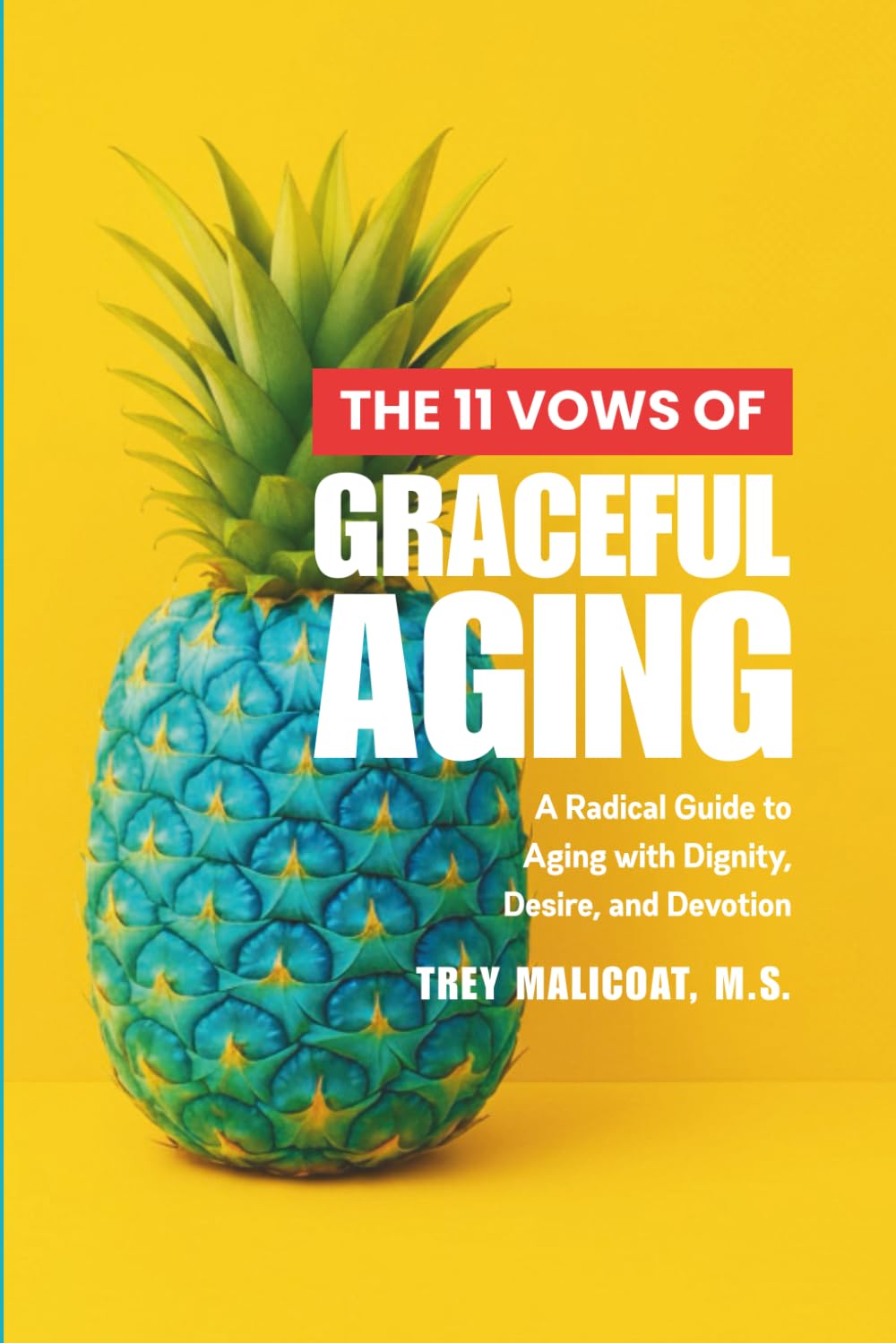 THE 11 VOWS OF GRACEFUL AGING: A Radical Guide to Aging with Dignity, Desire, and Devotion