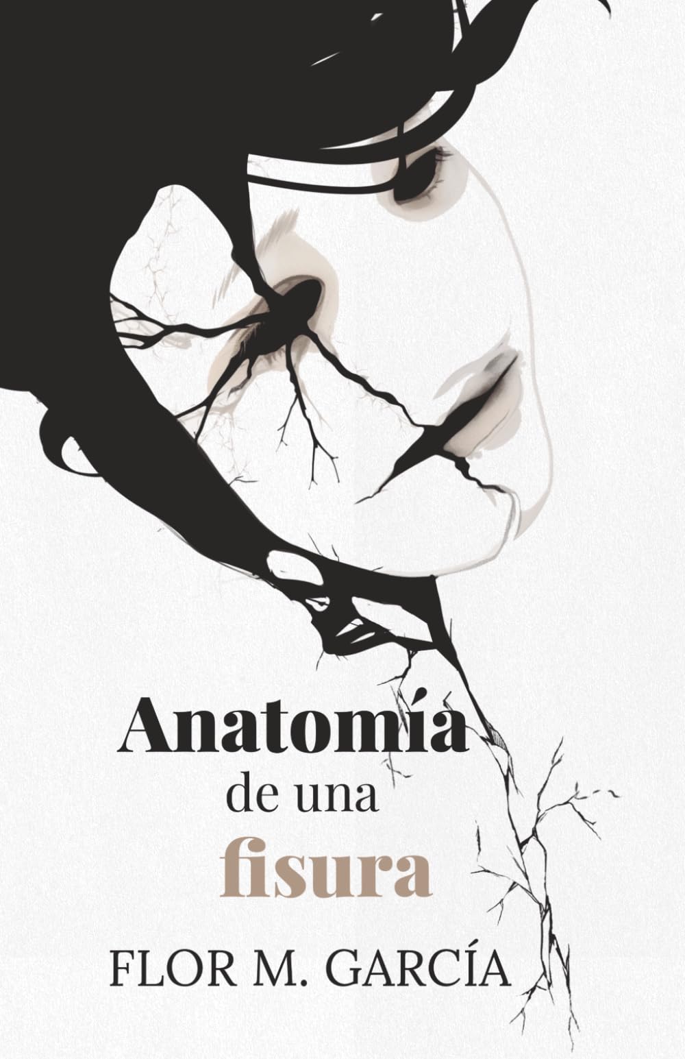 Anatomía de una fisura