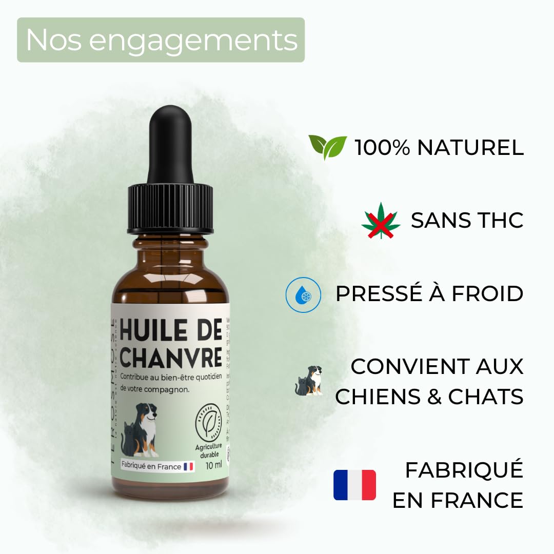 TEROSMOSE • Huile de Chanvre Premium pour Chiens & Chats - 100% Naturelle & Pure - Soutien Sérénité, Stress & Relaxation - Beauté du Pelage & Confort Cutané - Fabriqué en France