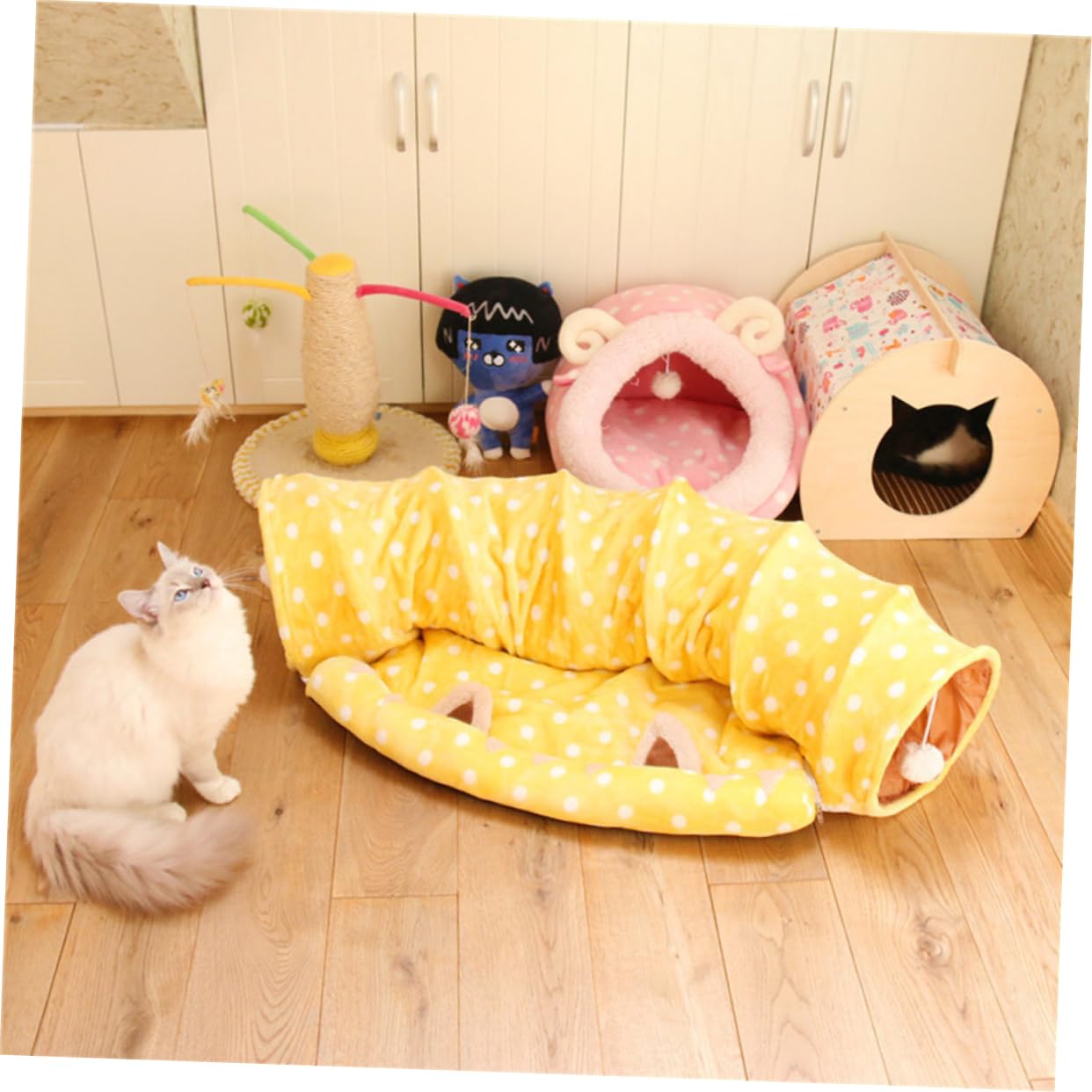 Beavorty Tube de Chat Chaton Tube Jouets pour Chats pour Lapins Jouets éducatifs Tunnel pour Chat Jouets d'éveil Tunnel de Chat Jouet Tunnel Chaton Pliable lit de Chat