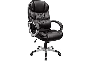 FURMAX Office Chair Mid Back Swivel Chair Lumbar Support (Black)
