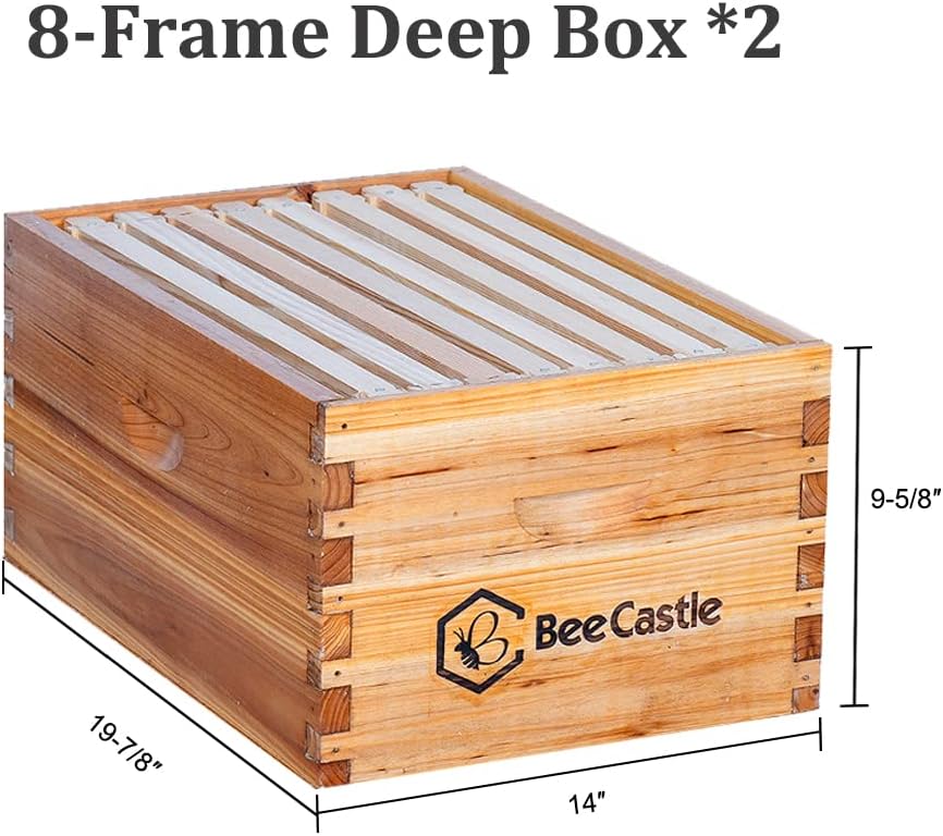 BeeCastle 8 Frame Langstroth Bee Hive Coated with Beeswax Includes Beehive Frames and Waxed Foundations (2 Deep Boxes & 1 Medium Box)