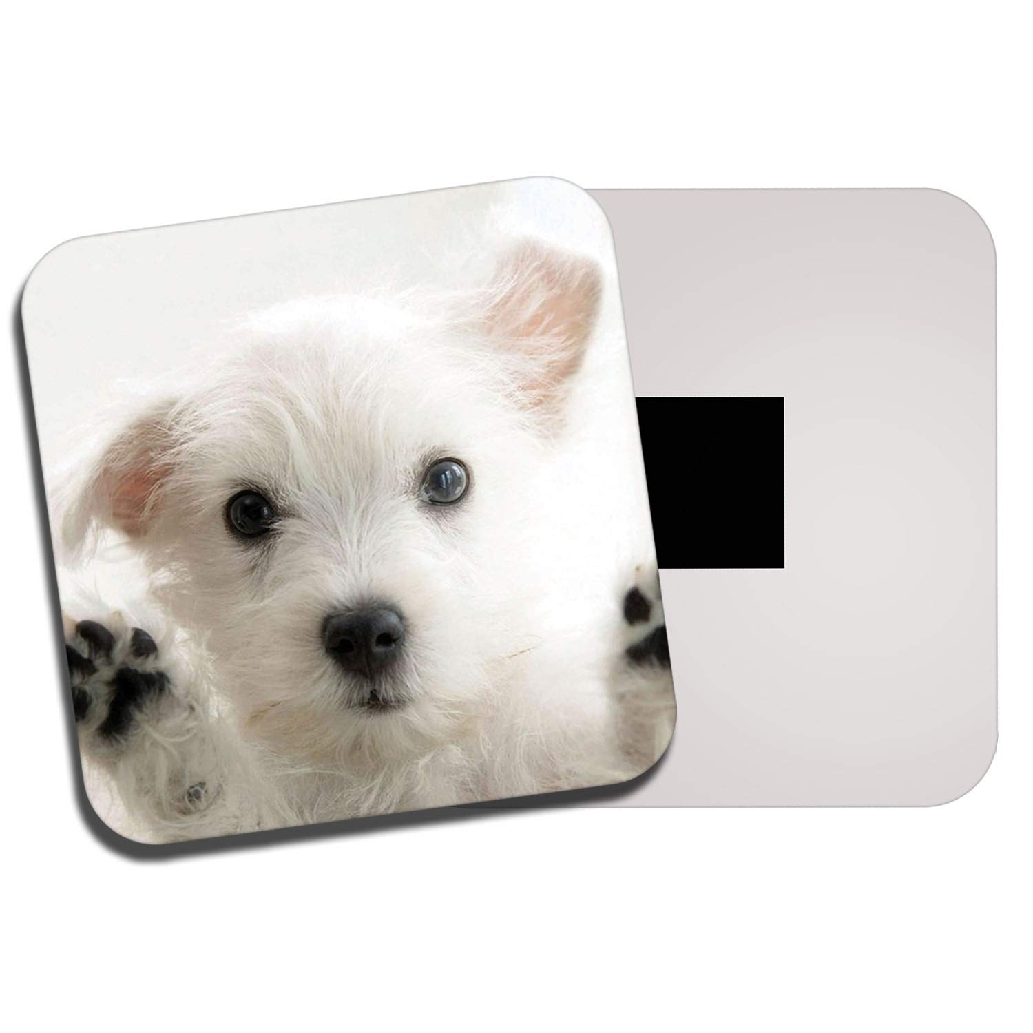 Westie Puppy Fridge Magnet - West Highland Terrier Dog White Cute Fun #8954