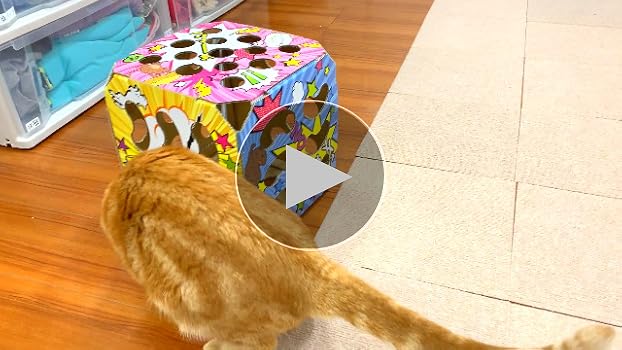 Amazon | キャティーマン (CattyMan) 猫ちゃんテンション爆アゲ