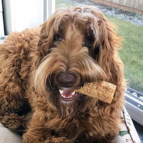 Himalayan Dog Chew Happy Teeth Yak Cheese Dog Chews Dental Chews, 100% Natural, Long Lasting, Gluten Free, Healthy & Safe Dog Treats For Oral Health, Lactose & Grain Free, Protein Rich, 2 Chews #TOP5