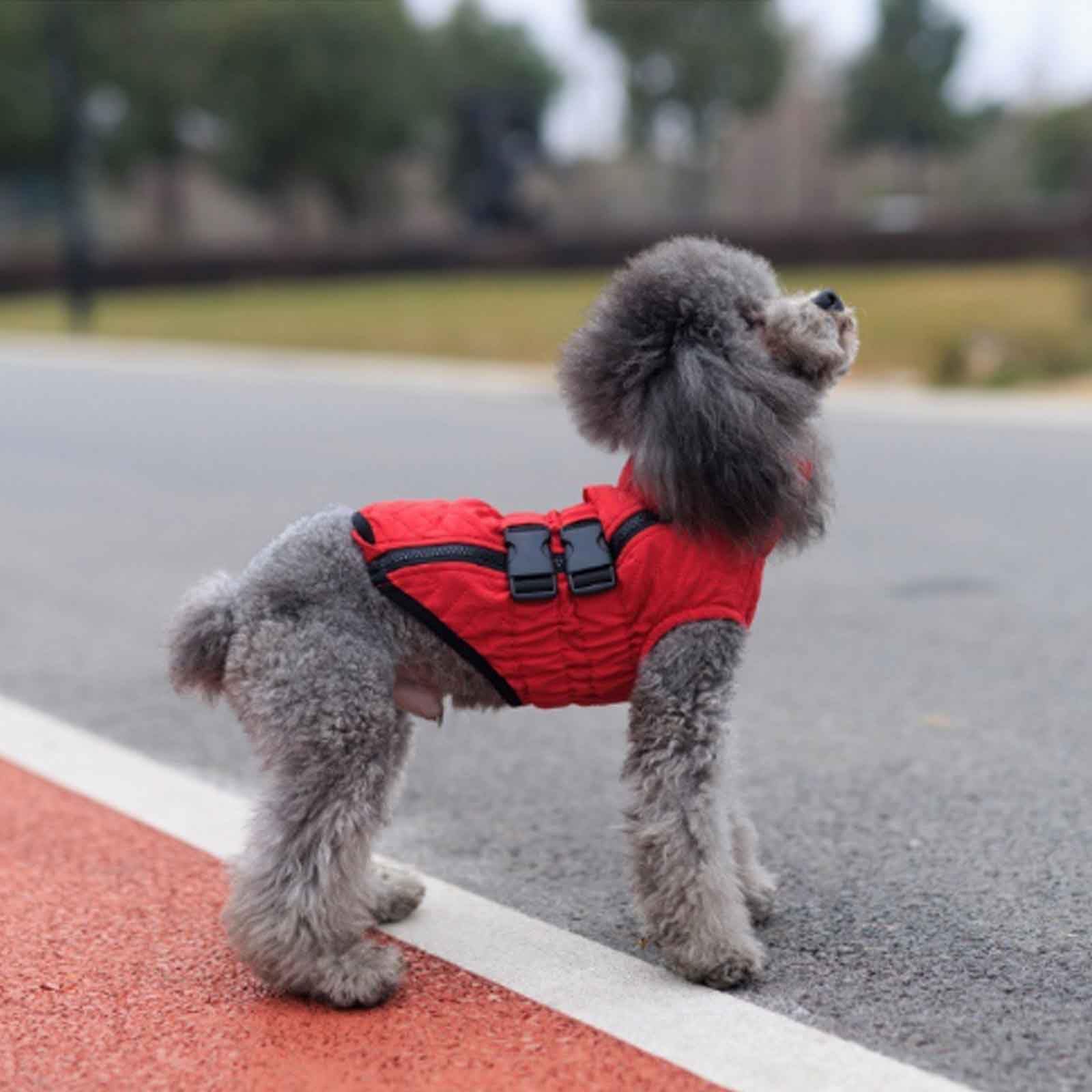 Hund Wintermäntel, Winddichte Hundeweste, Sehr Warm Für Den Winter Und Kaltes Wetter, Haustier Skifahren Kostüm Ärmellose, Für Kleine, Mittlere Hunde,Blau,XXL