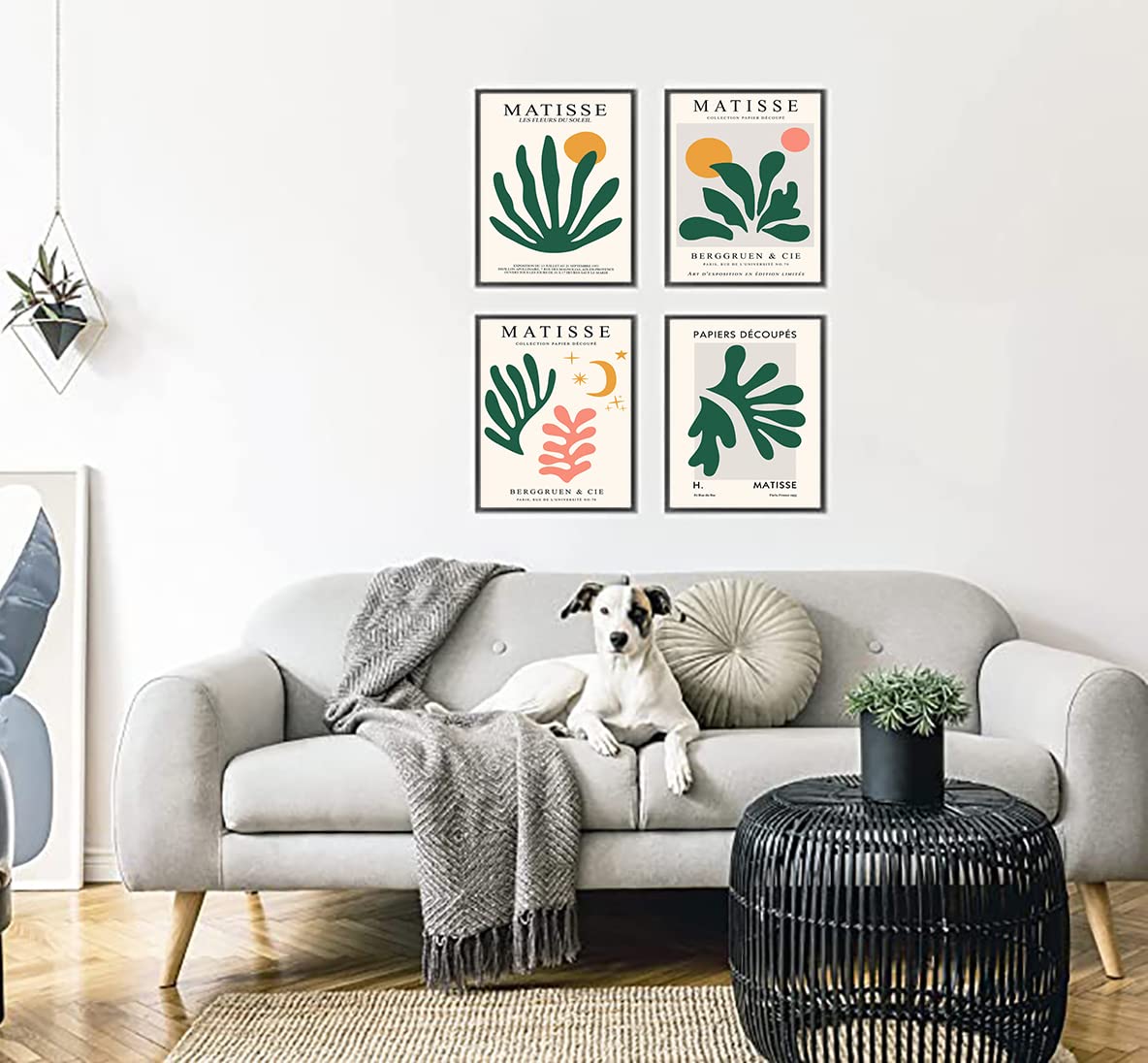 picture of a philodendron 4” Philodendron 'Splendid' – Canopy Plant Co