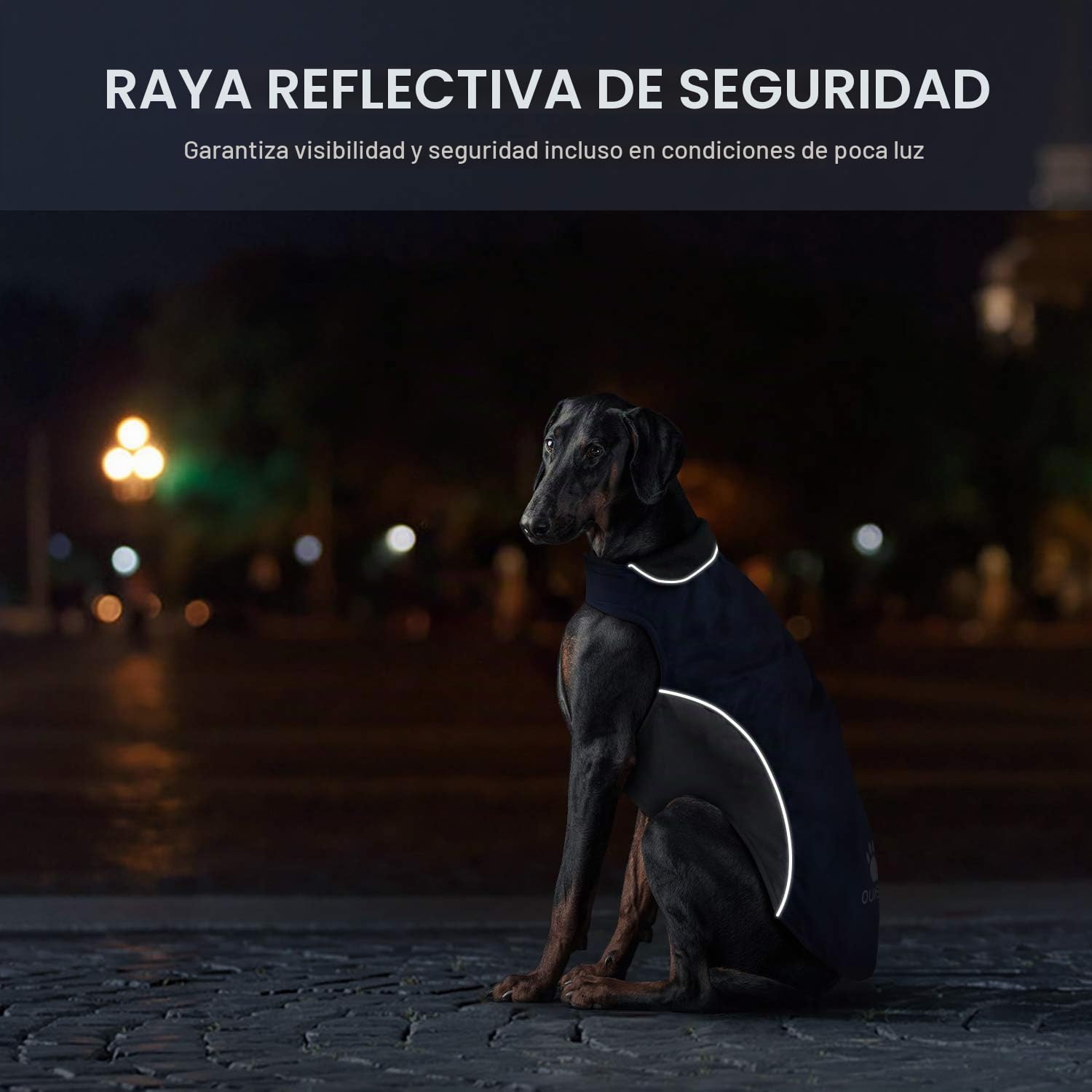 Abrigo para Perro Impermeable, Chubasqueros Perro Mediano Grande cálida Chaqueta Perro de Invierno con Tiras Reflectantes Seguras & Busto Ajustable(Azul, XL)