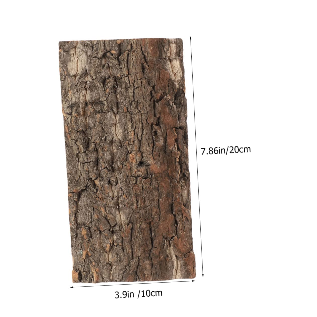 BESPORTBLE 10piezas Reptile Bark Backdrop para y Terrarios Natural De para Decoración De Peceras y Reptiles y