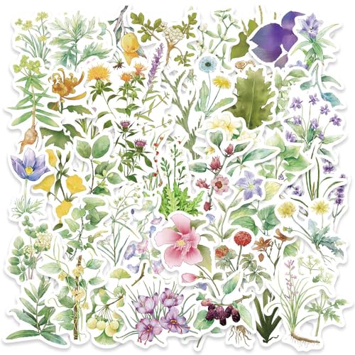 50Zbg ̉ԐA ʃ{^jJ K[f R Jg[ XebJ[ h fJ[   lC m[gp\R p\R Xm{ XP[g{[h ו X[cP[X M^[  X}zP[X XP{[ J[ ]