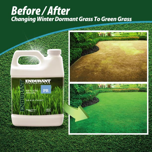 Turf Colorants - Perennial Rye Spray On Green Grass Paint For Lawns ...