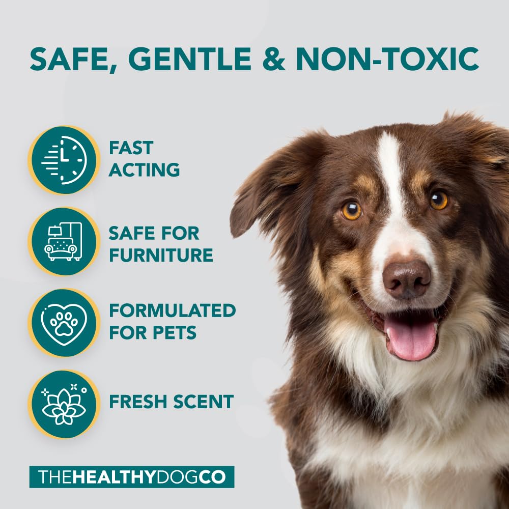 500ml Naturel Spray Anti Puces Chat & Chien | Traitement Anti Puces, Tiques Et Insectes | Spray Anti Puces pour la Maison, Meubles & Textiles | Spray Anti Puce Maison à l'huile de Citronnelle