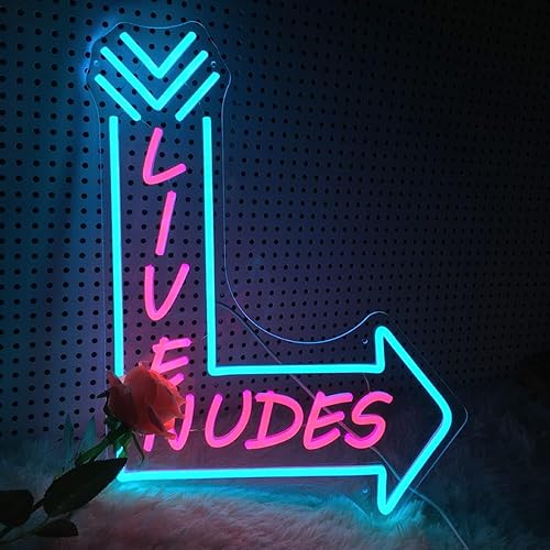 Large Neon Sign (20X15inches), Neon Signs for Man Cave & Home Art Decor,USB Powered LED Neon Lights Signs with Dimmer for Bar Office Hotel Pub Cafe Recreation Room Sign - Ice Blue+Pink
