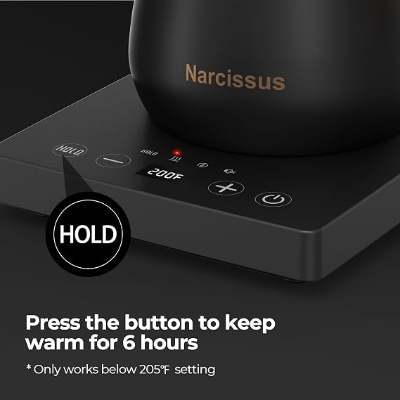 Narcissus P901 Gooseneck Electric Kettle with 1F Temperature Control Function, 1200 Watt Rapid Boiling in 5 Mins, Max 6 Hours Keeping Warm, 304 Stainless Steel Interior, BPA Free, Black