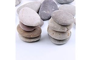 20 pcs 2-3 inch Painting Rock Bundle for River Crafts