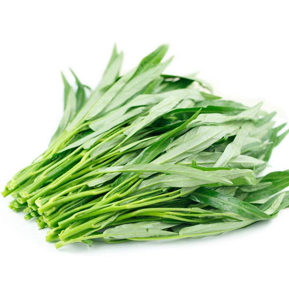 VibeX Chinese Water Spinach Seeds-250 Seeds (B0BBGQRNNW) Amazon Price History, Amazon Price Tracker