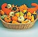 Kings Seeds - Gourd, Ornamental Mixed - 30 Seeds