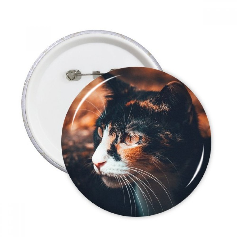 Pins chat marron vintage de 5 pièces XL pour vêtements
