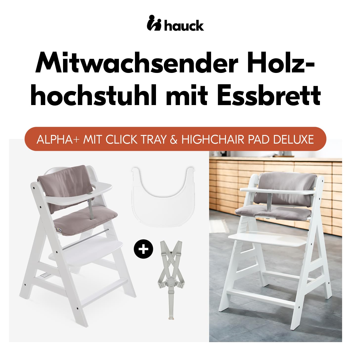 hauck Alpha+ Hochstuhl aus Buchenholz inkl. Klick Essbrett & Sitzkissen - Mitwachsender Kinderhochstuhl ab 6 Monaten bis 90 kg, Höhenverstellbar, mit 5-Punkt-Gurt, Schrittgurt & Essbrett, TÜV-geprüft