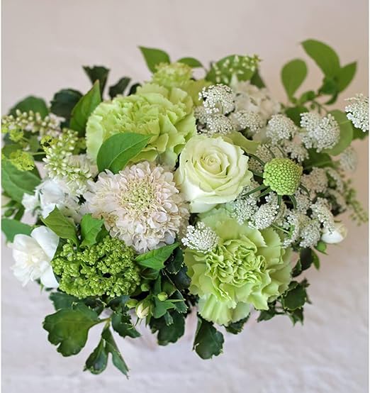 Amazon 翌日お届け可 お悔やみ お供え 生花 フラワーアレンジメント メッセージカード無料 Pr Be Sonae フラワーアレンジメント オンライン通販 Amazon 翌日お届け可 お悔やみ お供え 生花 フラワーアレンジメント メッセージカード無料 Pr Be Sonae フラワーアレンジメント オンライン通販