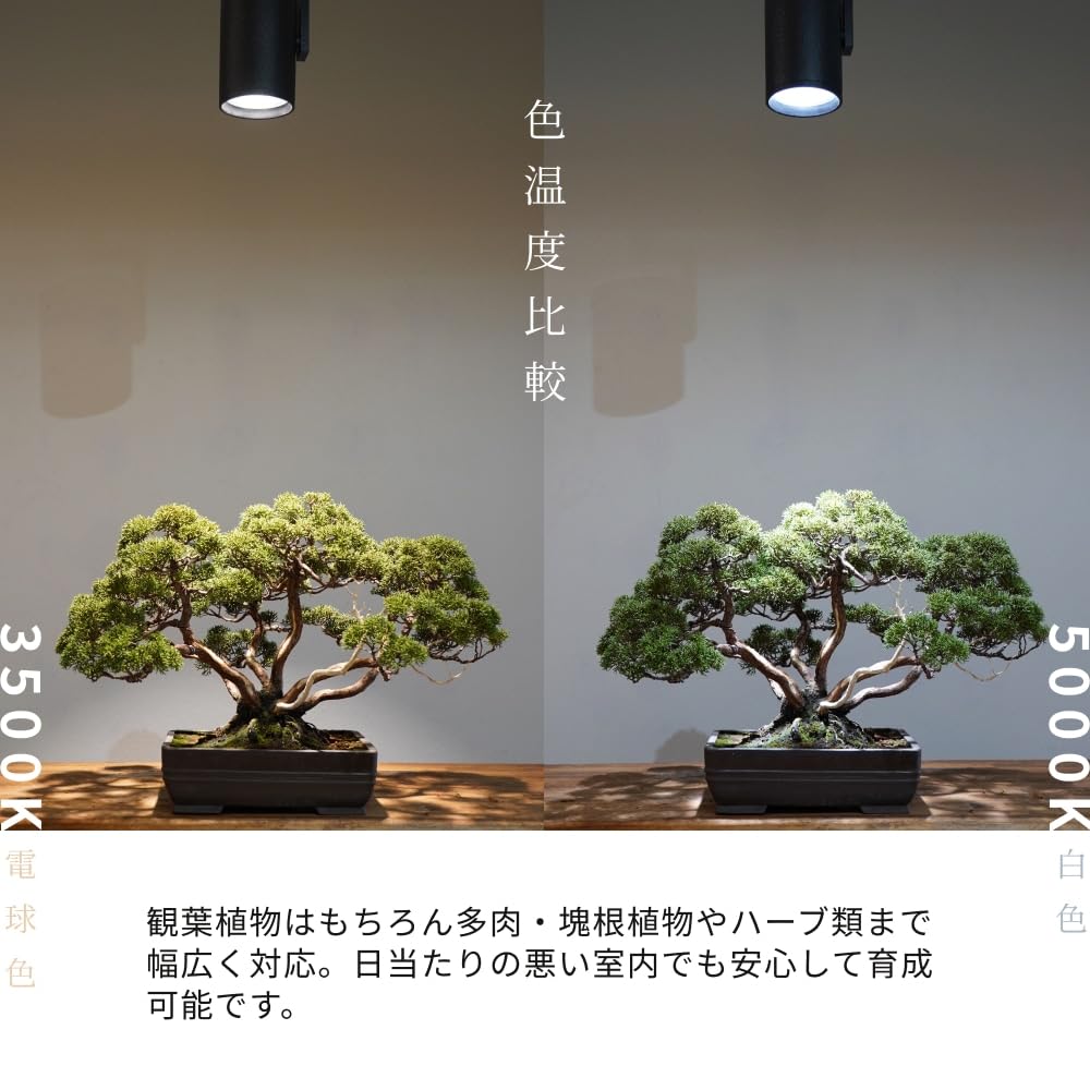 Amazon.co.jp: BARREL 【HADES LED 45W-3500K】ホワイト ライティング