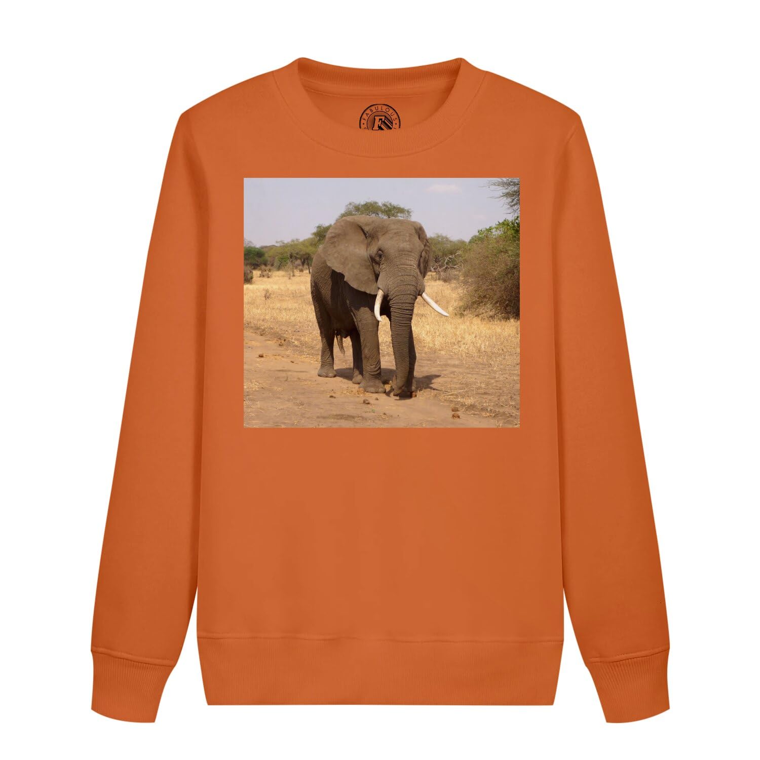 Sweatshirt enfant éléphant d'Afrique pull chaud résistant pour l'école