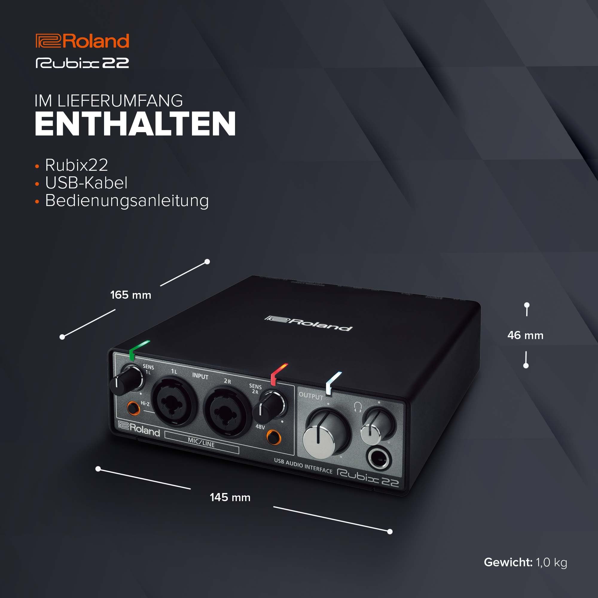 Roland Rubix22 | 2‑In/2‑Out USB Audio Interface | Hochauflösende Audioqualität | Aufnahme von Mikrofonen, Gitarren & Keyboards | Kompatibel mit Mac, PC & iPad
