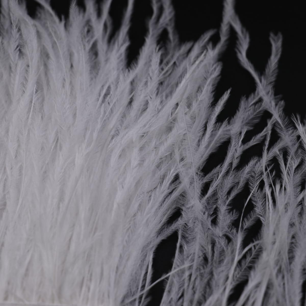 Bordures En Plumes D'autruche Blanches Originales De 1 M Avec Ruban En Satin Pour Robe, Couture, Travaux Manuels, Costumes, Décoration