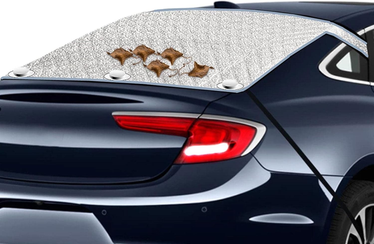 Rear Windshield Antifreeze Cover | Car Windshield Antifreeze Cover | Car Screen Protector Fits Trucks, SUVs, Vans & Cars