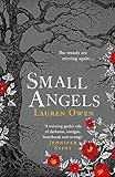  Small Angels: \'A twisting gothic tale of darkness, intrigue, heartbreak and revenge\' Jennifer Saint