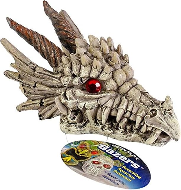 Foto 4 de 4 de Penn-Plax Deco-Replicas Dragon Skull Gazer Decoración de Acuario - Seguro para acuarios de Agua Dulce y Salada