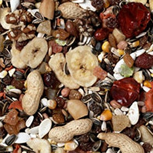 Maltbys' Stores 1904 Limited 5kg JOHNSTON AND JEFFS PREMIUM FRUIT PARROT FOOD SEED MIXTURE