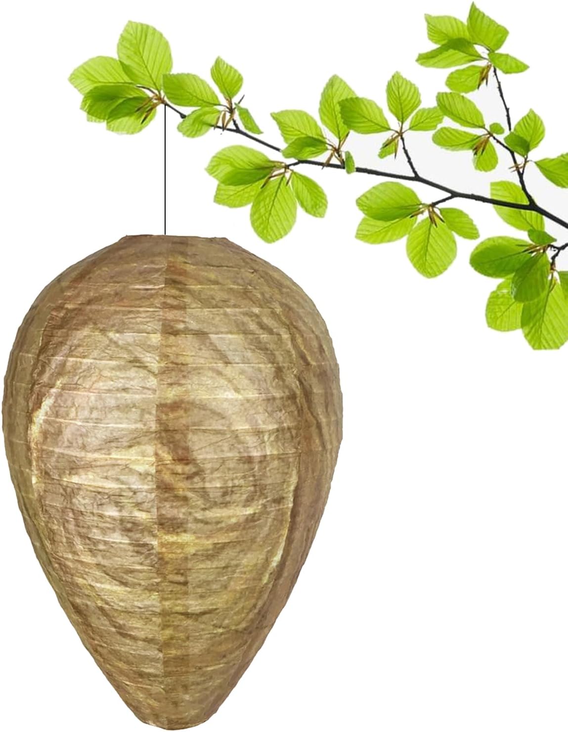 Paper Wasp Nest Decoys Hanging Wasp Deterrent Wasp Nest