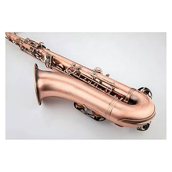 Amazon | テナーサックス赤アンティーク銅表面サックス楽器
