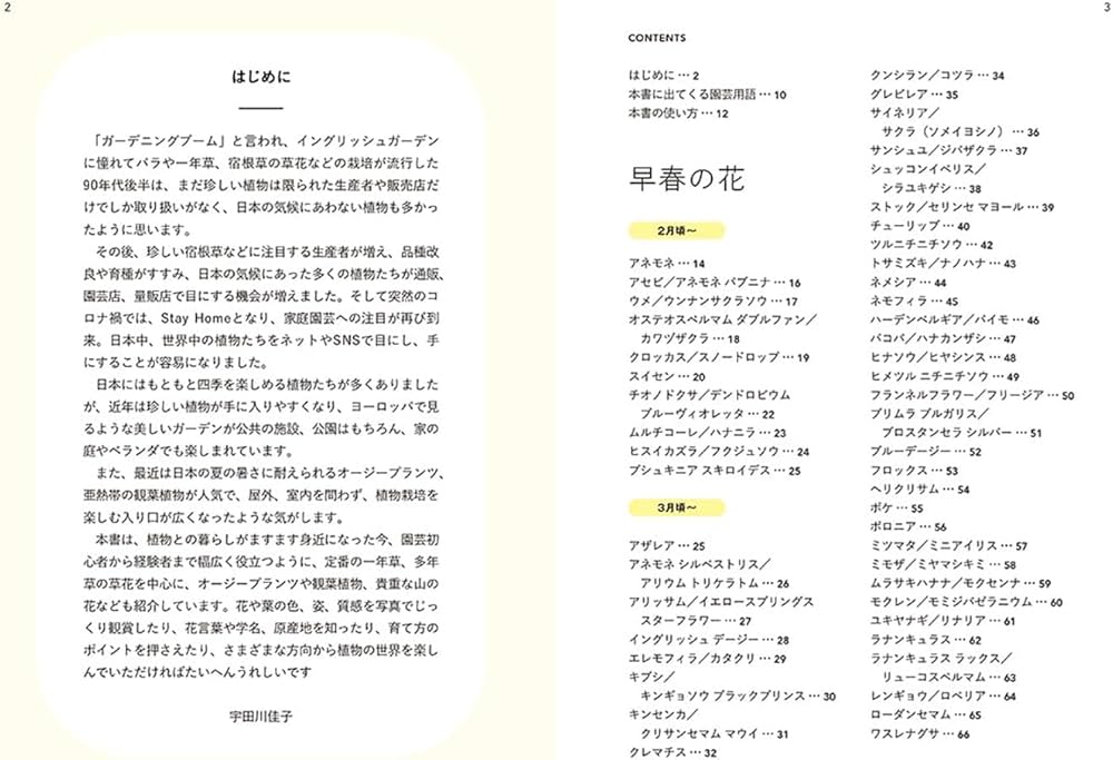 金花　回顧録　日語版 決定版! 花事典800 | 宇田川 佳子 |本 | 通販 | Amazon