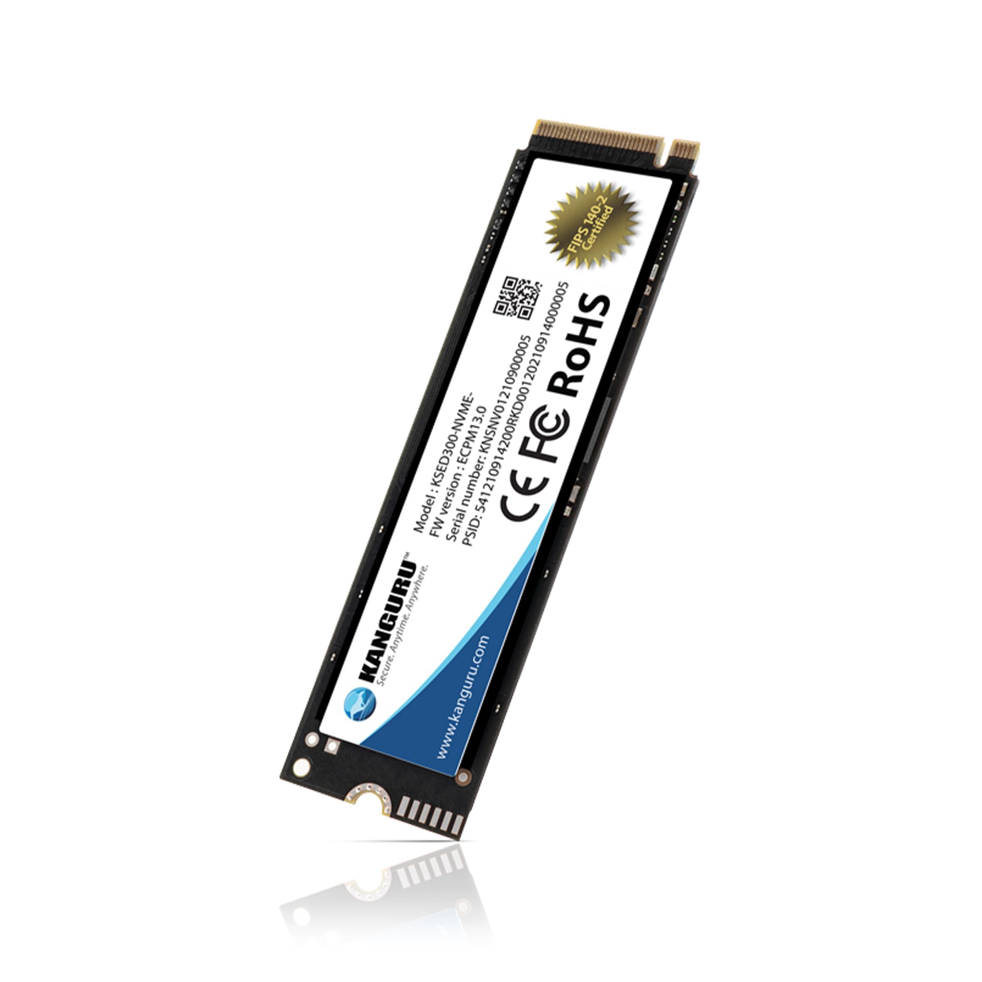Amazon.com: Kanguru Defender SED300 M.2 NVMe – 1TB Internal Self