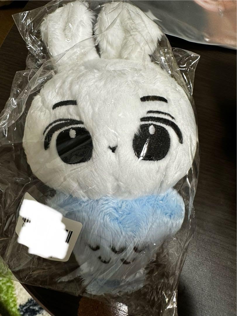 Amazon.co.jp: BOYNEXTDOOR イハン 10cm ボイネク C : おもちゃ