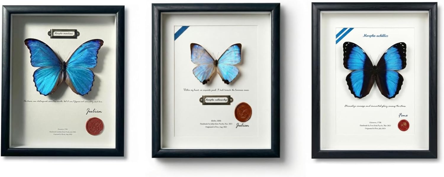 ArsVenciik 3-Piece Real Morpho Butterfly Taxidermy Set - Framed Blue, Pearl & Banded Morpho Specimen - Iridescent Shadow Box Wall Art & Ethereal Gift for Her