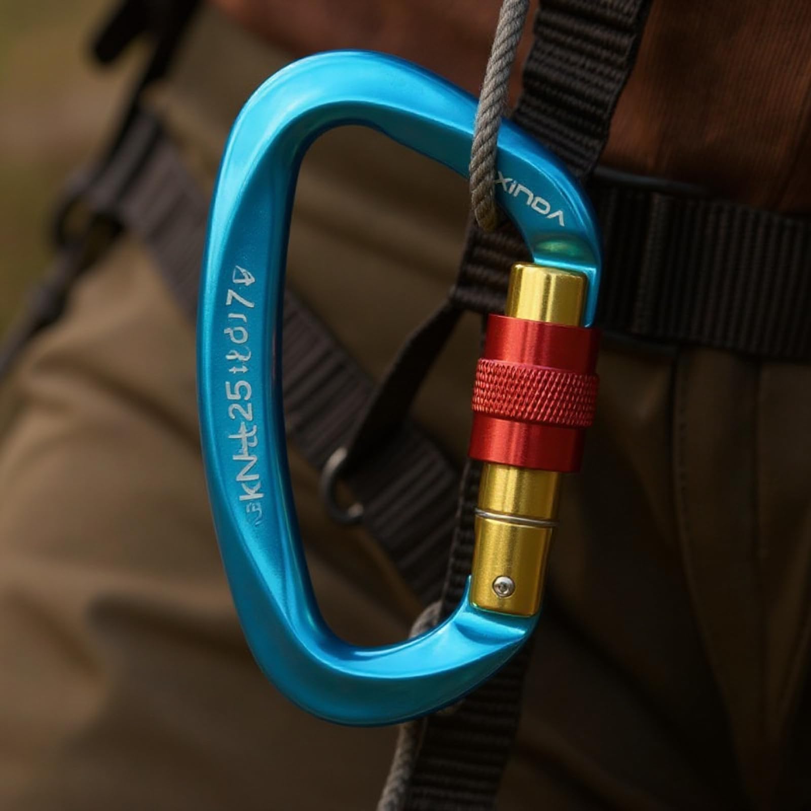 Lot de 5 mousquetons de Verrouillage pour Escalade, Mousqueton à vis 25 KN en Alliage d’Aluminium, Forme D, certifié UIAA et Conforme CE, pour Escalade, randonnée, Rappel, Bleu
