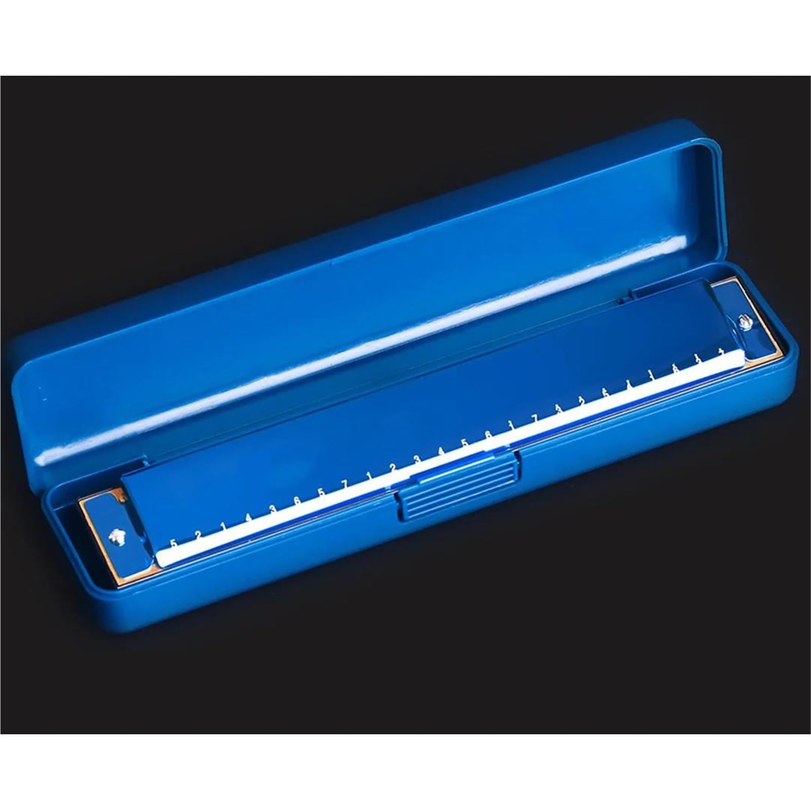 Armonica Per Adulti Armonica A Bocca A 24 Fori In Do Bronzo Fosforoso Per Principianti Blues Con Custodia(Blue)