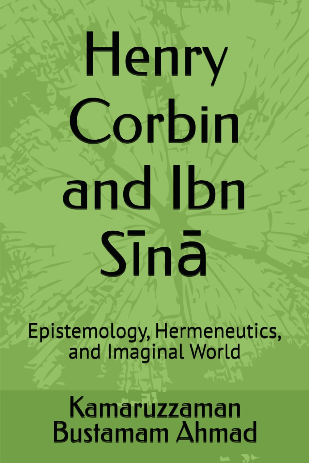 Henry Corbin and Ibn Sīnā: Epistemology, Hermeneutics, and Imaginal World: 10 (Henry Corbin Studies)