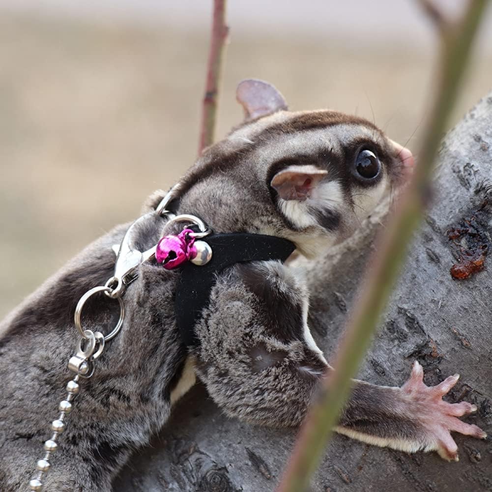 3 Pack Sugar Glider Harness and Leash Set Adjustable