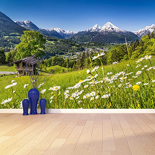 Papier Peint Mountains de Bavière Tulup Rénovation Murale Maison 416x254cm