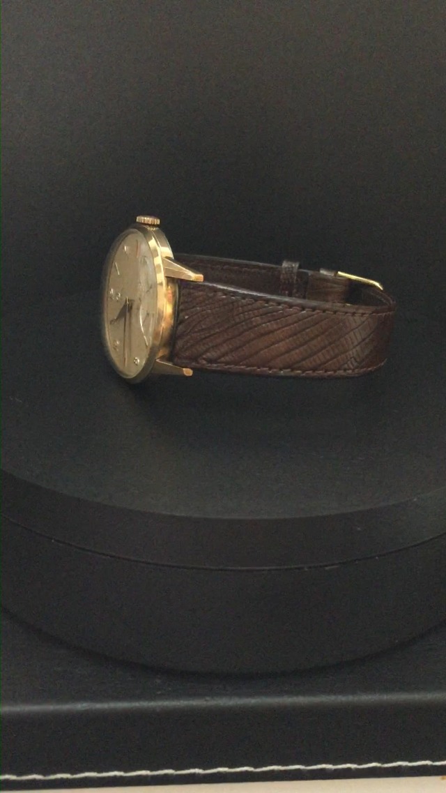 Beau bracelet de montre façon lézard 17 mm, - H7-10